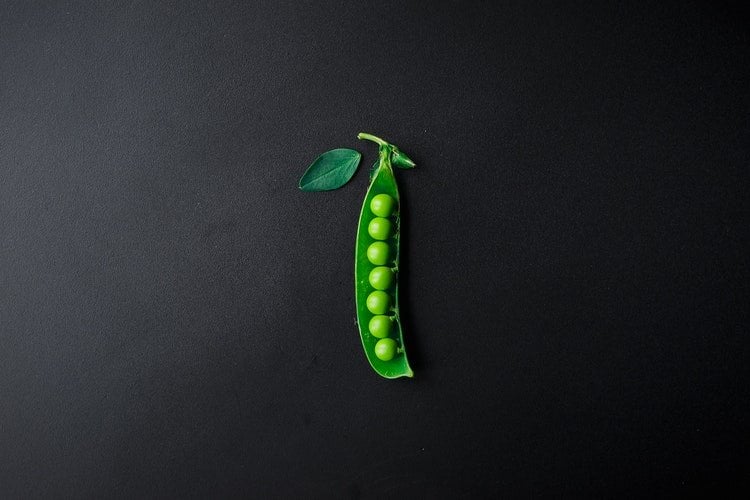 rotação de culturas agrícolas agricultura