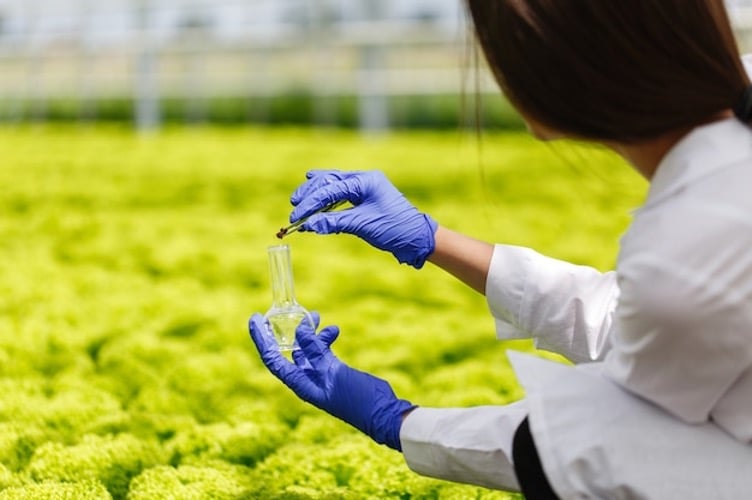 Bioestimulantes agrícolas