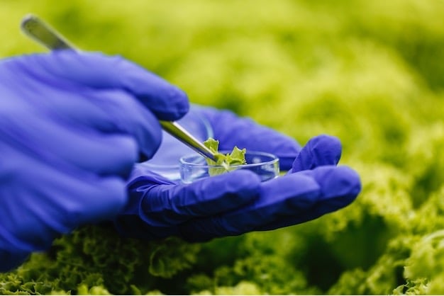 Bioestimulantes agrícolas
